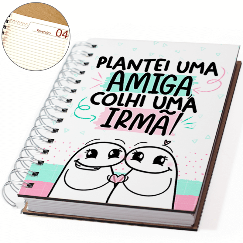 Agenda amiga flork meme amizade plantei uma amiga
